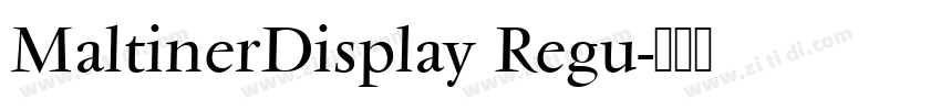 MaltinerDisplay Regu字体转换